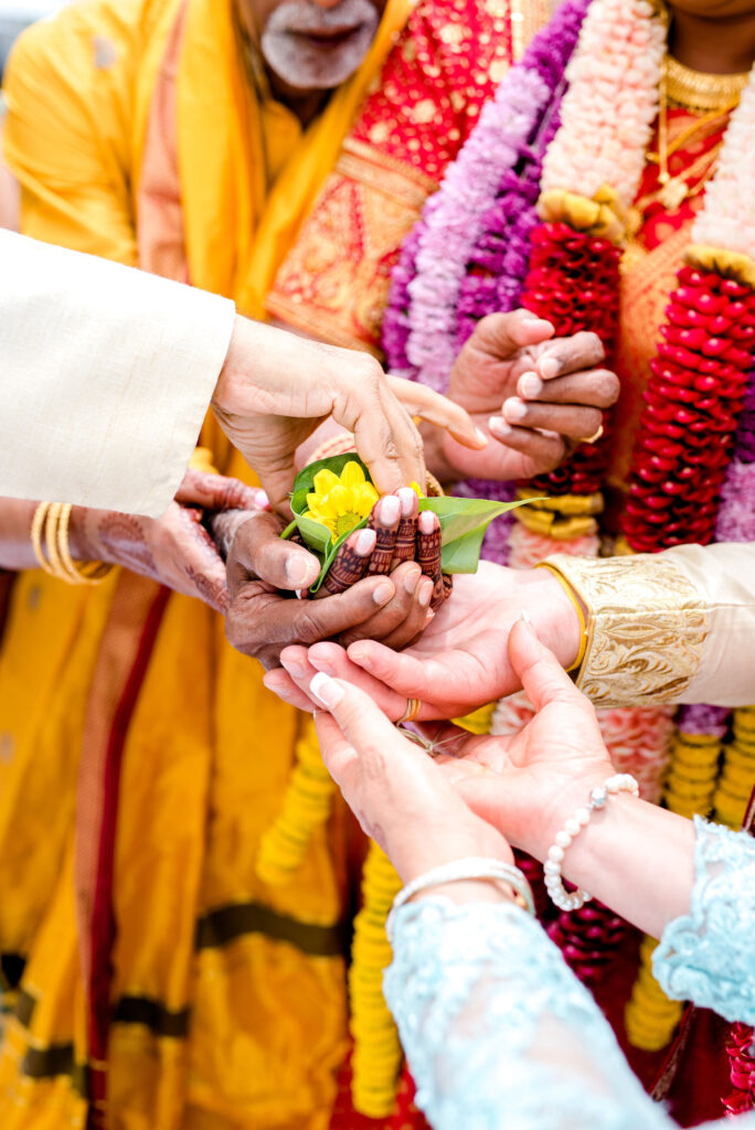 Image gallery image