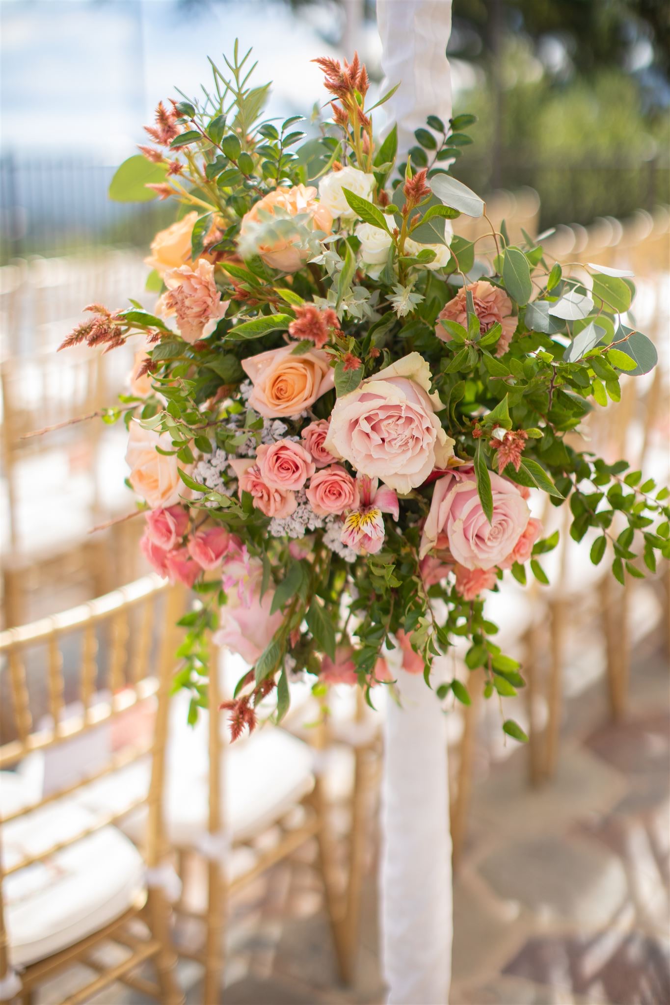 Image gallery image