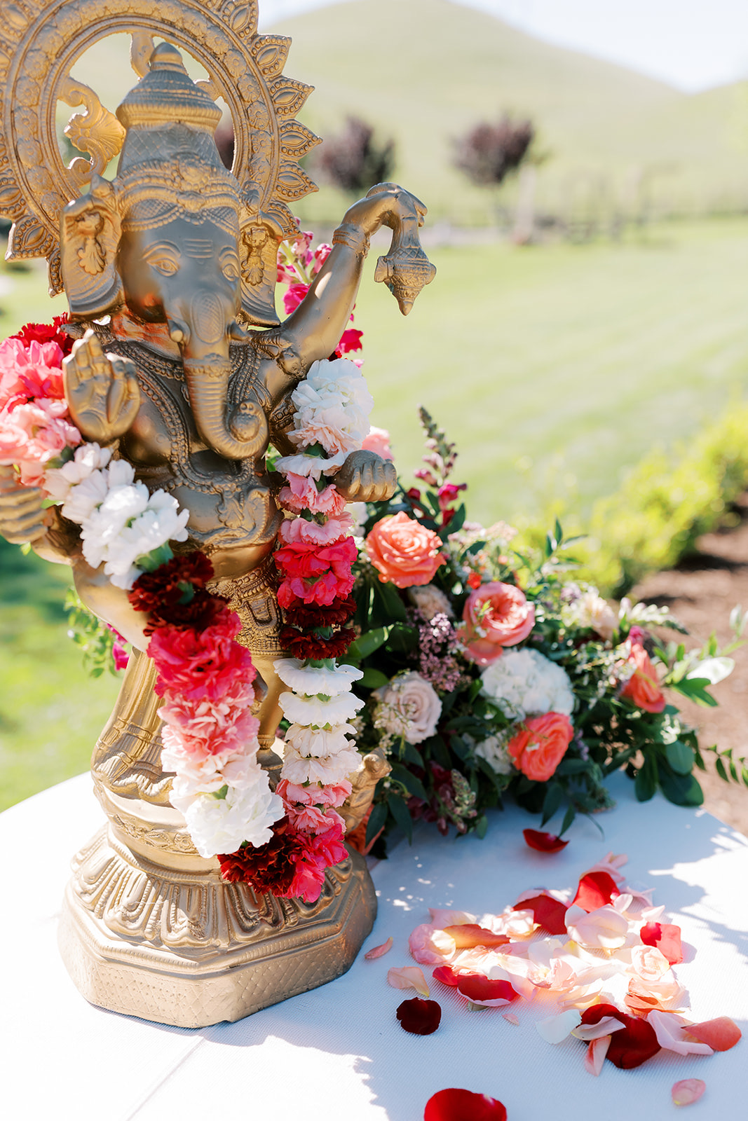 Image gallery image
