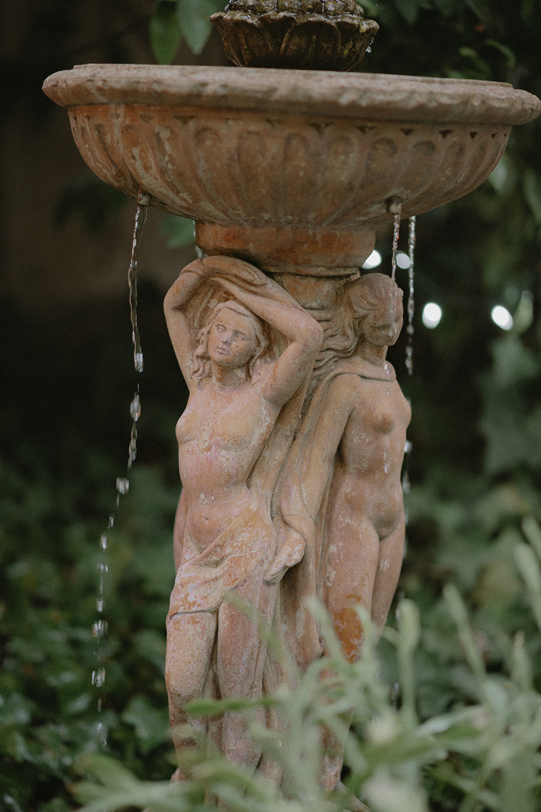 Image gallery image